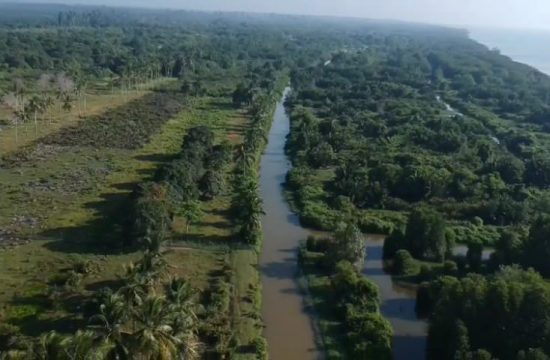 Transparansi dalam Investasi: PT ISI dan Masyarakat Tana Kuning Bekerja Sama untuk Penyelesaian yang Baik